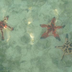 Meet your Posher, Gabbie